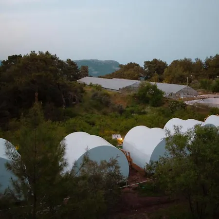 Evergreenglamping Campsite